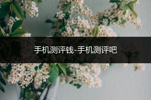 手机测评钱-手机测评吧