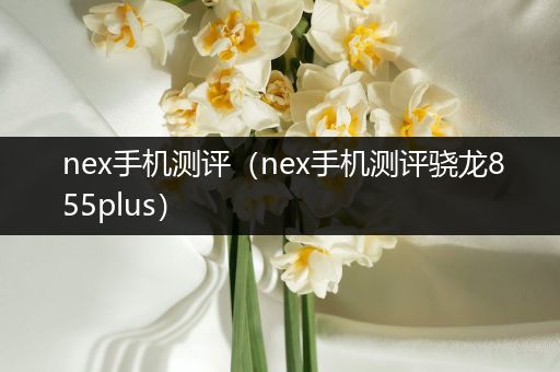 nex手机测评（nex手机测评骁龙855plus）