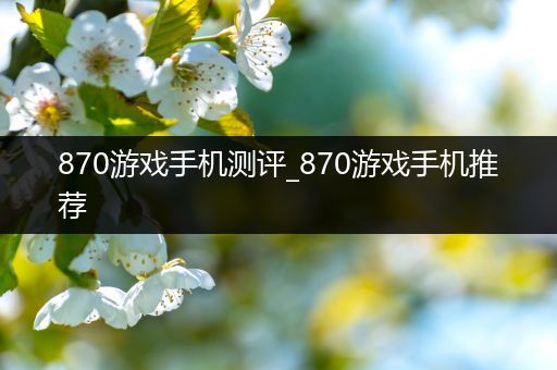 870游戏手机测评_870游戏手机推荐