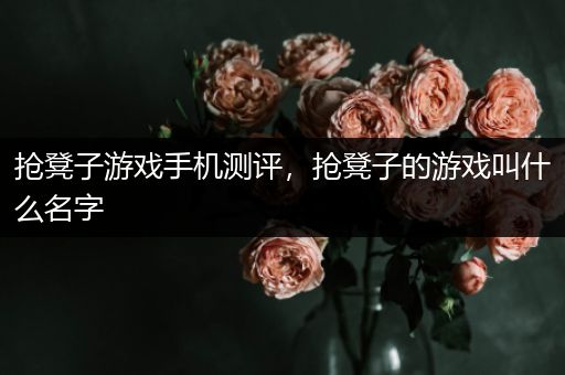 抢凳子游戏手机测评，抢凳子的游戏叫什么名字