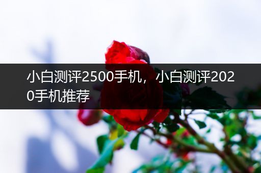 小白测评2500手机，小白测评2020手机推荐