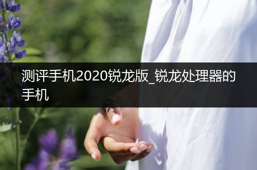 测评手机2020锐龙版_锐龙处理器的手机