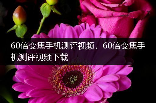 60倍变焦手机测评视频，60倍变焦手机测评视频下载