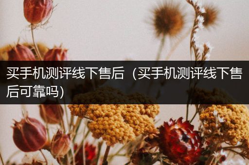 买手机测评线下售后（买手机测评线下售后可靠吗）