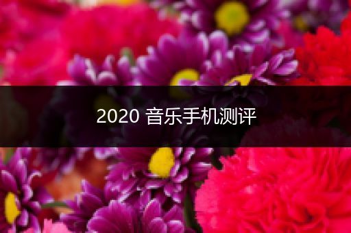 2020 音乐手机测评