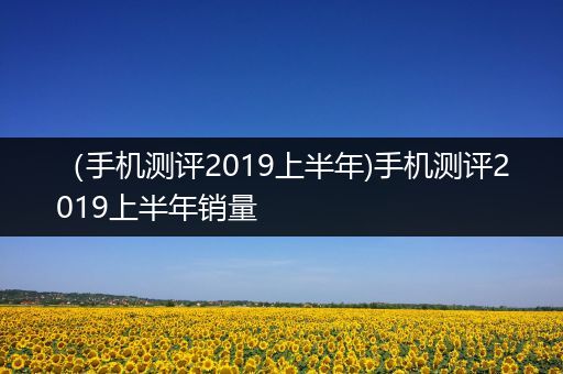 （手机测评2019上半年)手机测评2019上半年销量