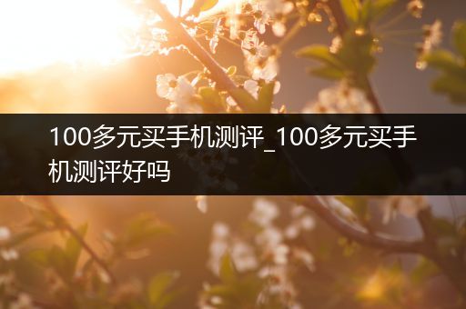 100多元买手机测评_100多元买手机测评好吗