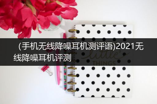 （手机无线降噪耳机测评语)2021无线降噪耳机评测