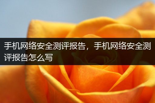 手机网络安全测评报告，手机网络安全测评报告怎么写