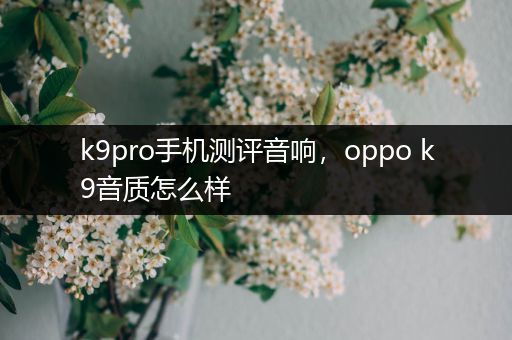 k9pro手机测评音响，oppo k9音质怎么样