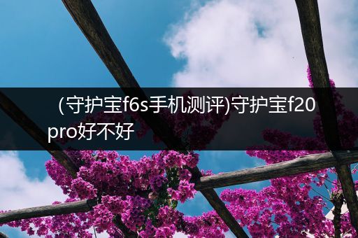 （守护宝f6s手机测评)守护宝f20pro好不好