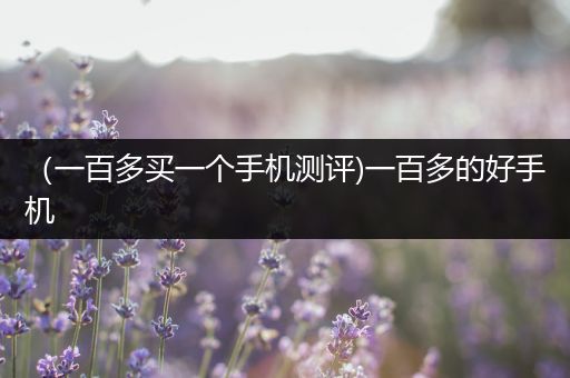 （一百多买一个手机测评)一百多的好手机