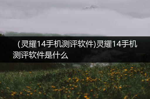 （灵耀14手机测评软件)灵耀14手机测评软件是什么