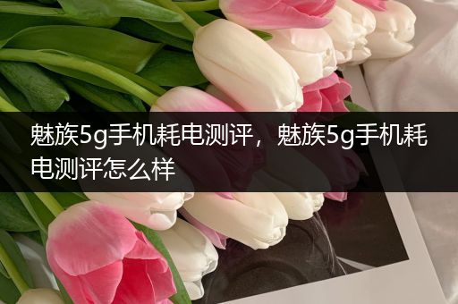 魅族5g手机耗电测评，魅族5g手机耗电测评怎么样