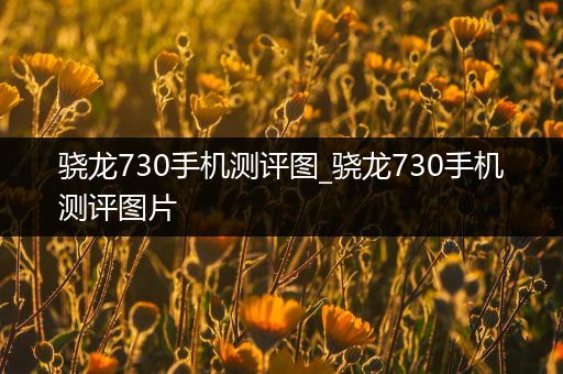 骁龙730手机测评图_骁龙730手机测评图片