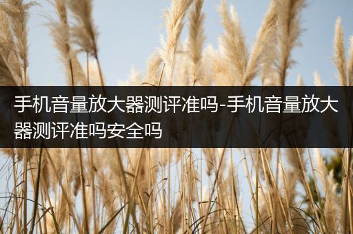 手机音量放大器测评准吗-手机音量放大器测评准吗安全吗