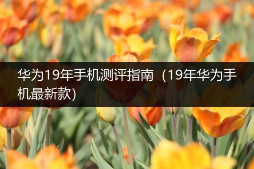 华为19年手机测评指南（19年华为手机最新款）