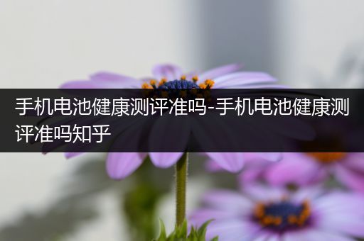 手机电池健康测评准吗-手机电池健康测评准吗知乎