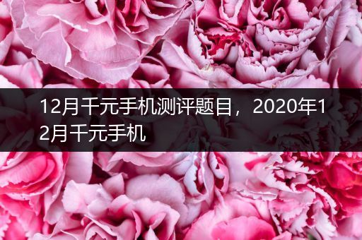 12月千元手机测评题目，2020年12月千元手机