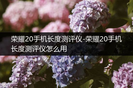 荣耀20手机长度测评仪-荣耀20手机长度测评仪怎么用