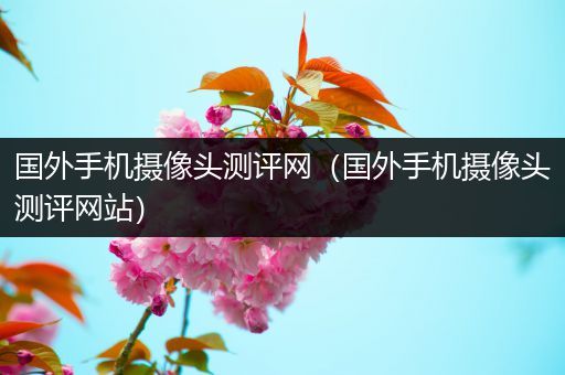 国外手机摄像头测评网（国外手机摄像头测评网站）