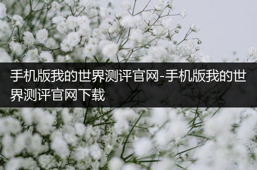 手机版我的世界测评官网-手机版我的世界测评官网下载