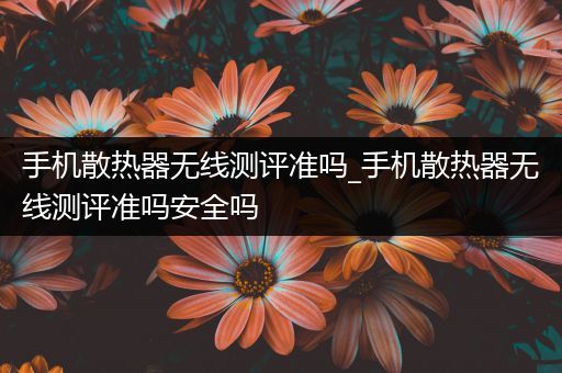 手机散热器无线测评准吗_手机散热器无线测评准吗安全吗