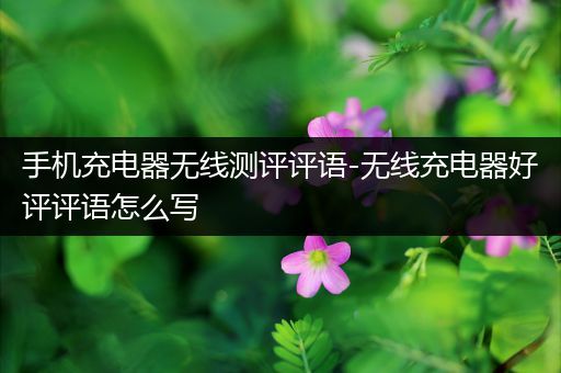 手机充电器无线测评评语-无线充电器好评评语怎么写