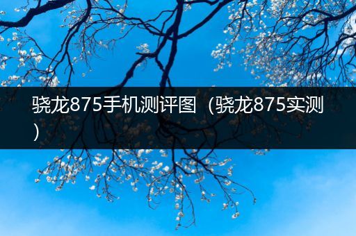 骁龙875手机测评图（骁龙875实测）