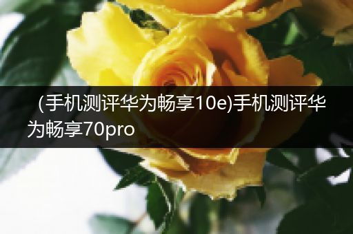 （手机测评华为畅享10e)手机测评华为畅享70pro