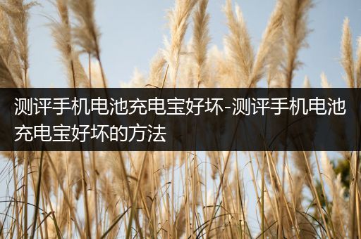 测评手机电池充电宝好坏-测评手机电池充电宝好坏的方法