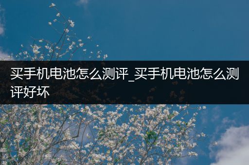 买手机电池怎么测评_买手机电池怎么测评好坏