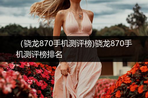 （骁龙870手机测评榜)骁龙870手机测评榜排名