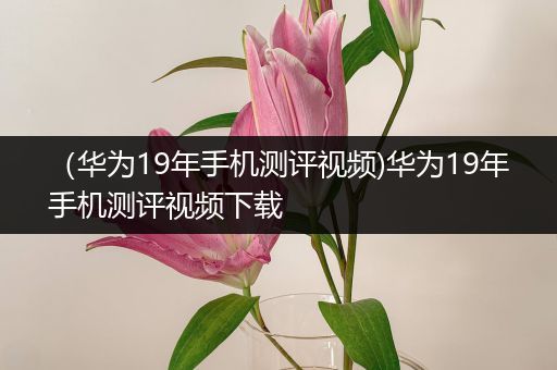 （华为19年手机测评视频)华为19年手机测评视频下载