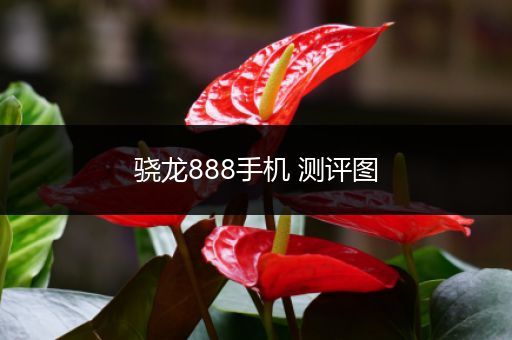 骁龙888手机 测评图