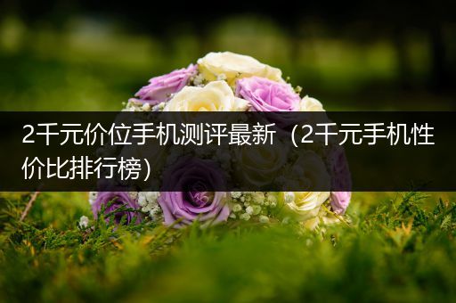 2千元价位手机测评最新（2千元手机性价比排行榜）