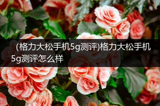 （格力大松手机5g测评)格力大松手机5g测评怎么样