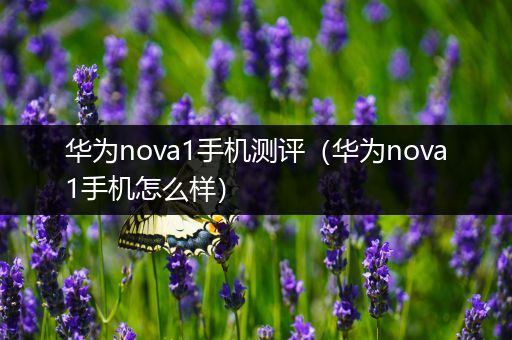 华为nova1手机测评（华为nova1手机怎么样）