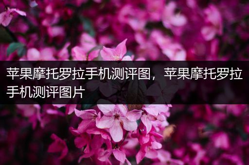 苹果摩托罗拉手机测评图，苹果摩托罗拉手机测评图片