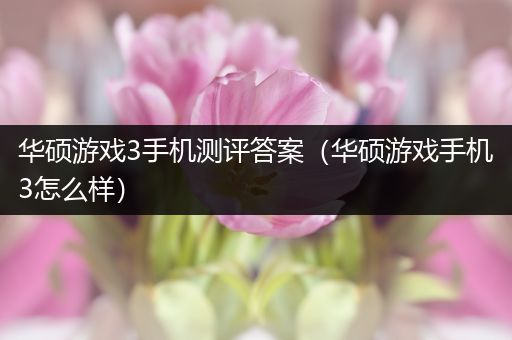 华硕游戏3手机测评答案（华硕游戏手机3怎么样）