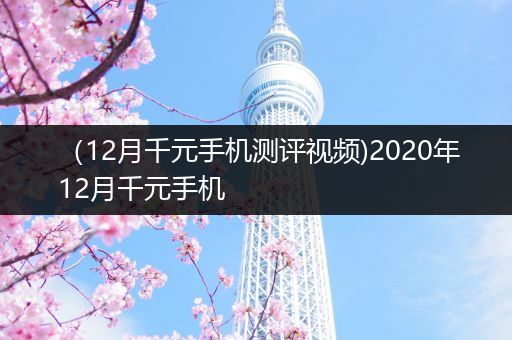 （12月千元手机测评视频)2020年12月千元手机