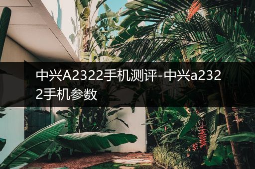 中兴A2322手机测评-中兴a2322手机参数