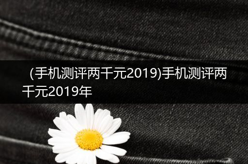 （手机测评两千元2019)手机测评两千元2019年