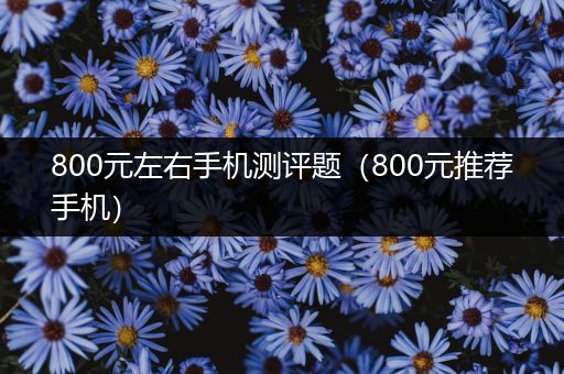 800元左右手机测评题（800元推荐手机）