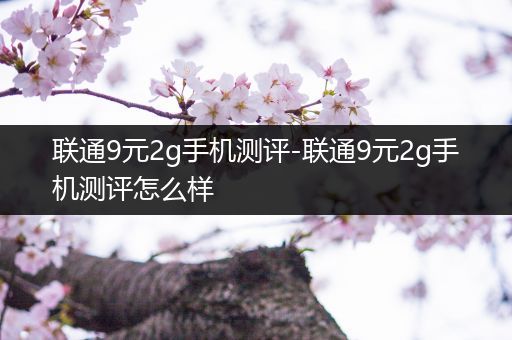 联通9元2g手机测评-联通9元2g手机测评怎么样