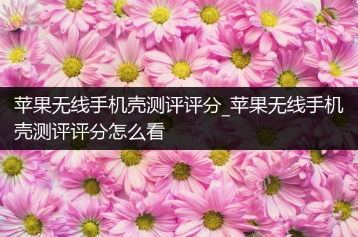 苹果无线手机壳测评评分_苹果无线手机壳测评评分怎么看