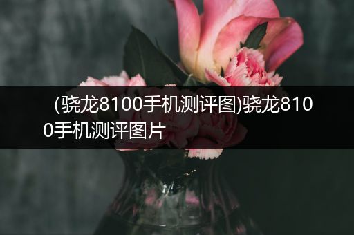 （骁龙8100手机测评图)骁龙8100手机测评图片