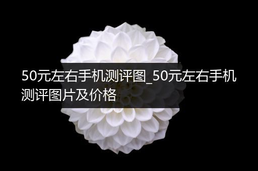 50元左右手机测评图_50元左右手机测评图片及价格