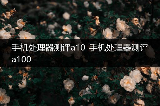 手机处理器测评a10-手机处理器测评a100