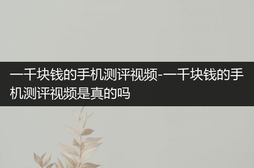 一千块钱的手机测评视频-一千块钱的手机测评视频是真的吗